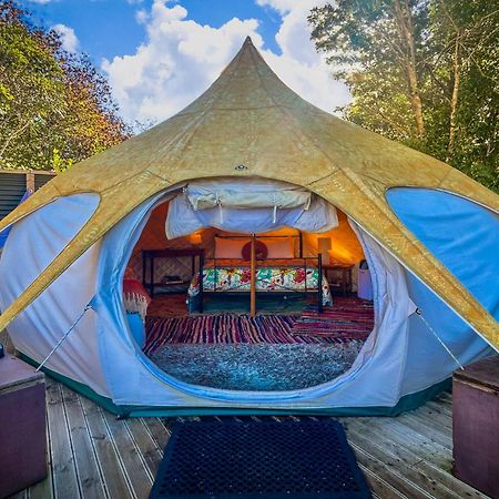 Te Tiro Accommodation Waitomo Caves Luaran gambar