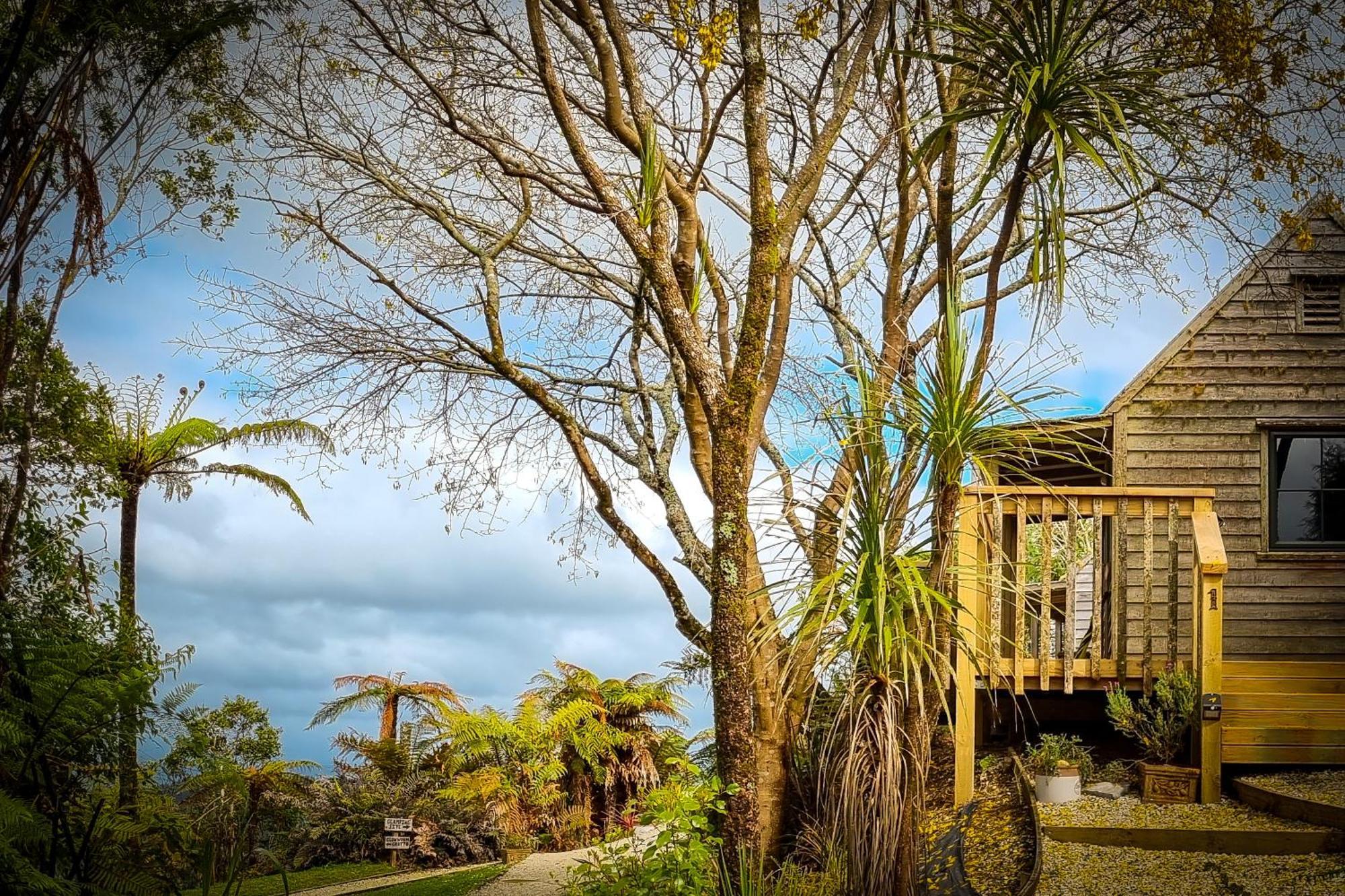 Te Tiro Accommodation Waitomo Caves Luaran gambar