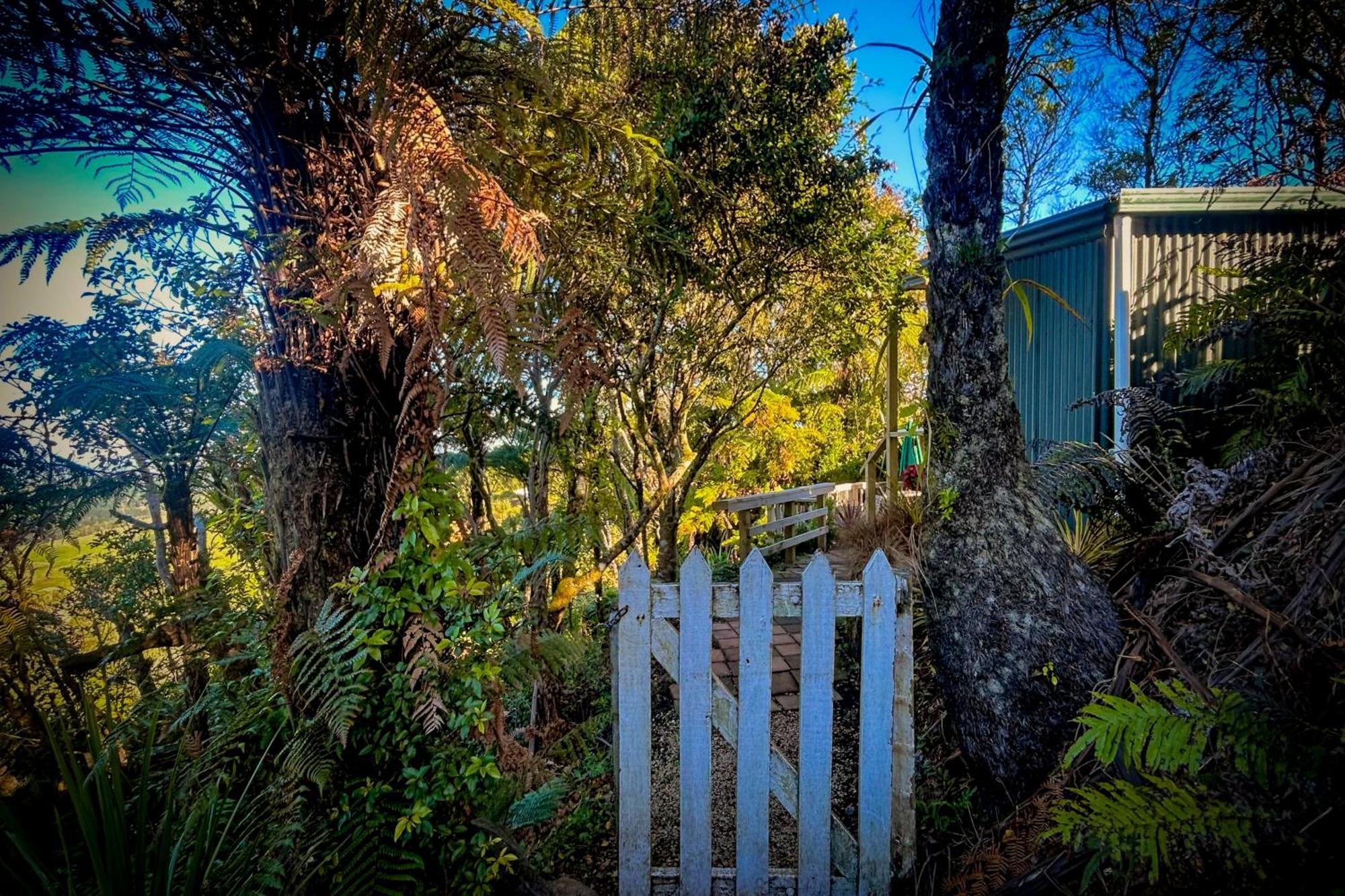 Te Tiro Accommodation Waitomo Caves Bilik gambar