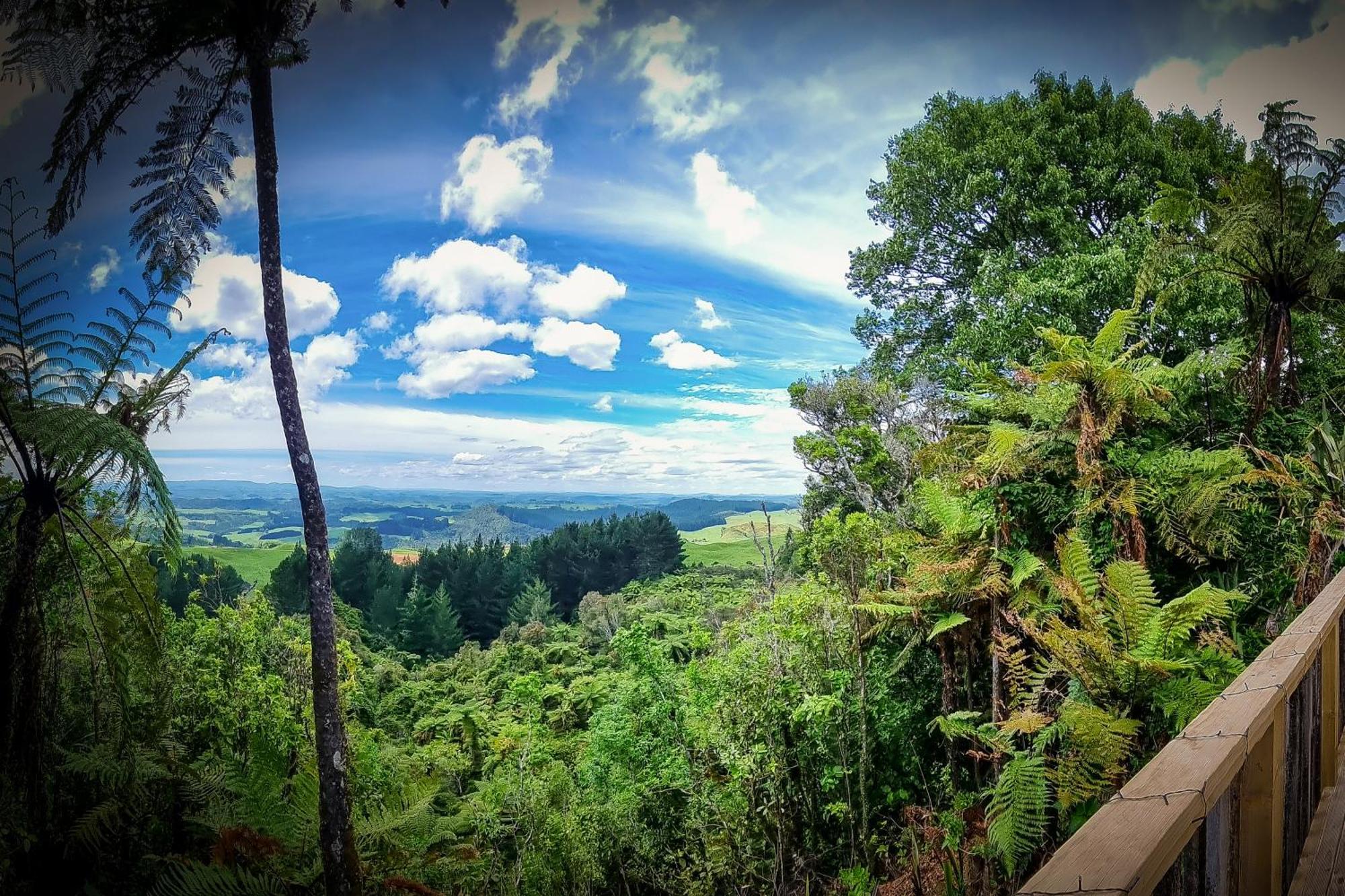 Te Tiro Accommodation Waitomo Caves Bilik gambar