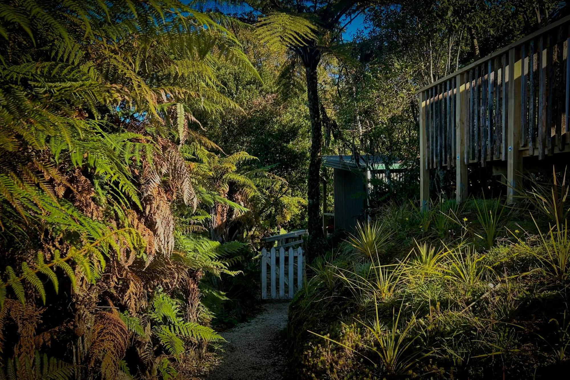 Te Tiro Accommodation Waitomo Caves Bilik gambar