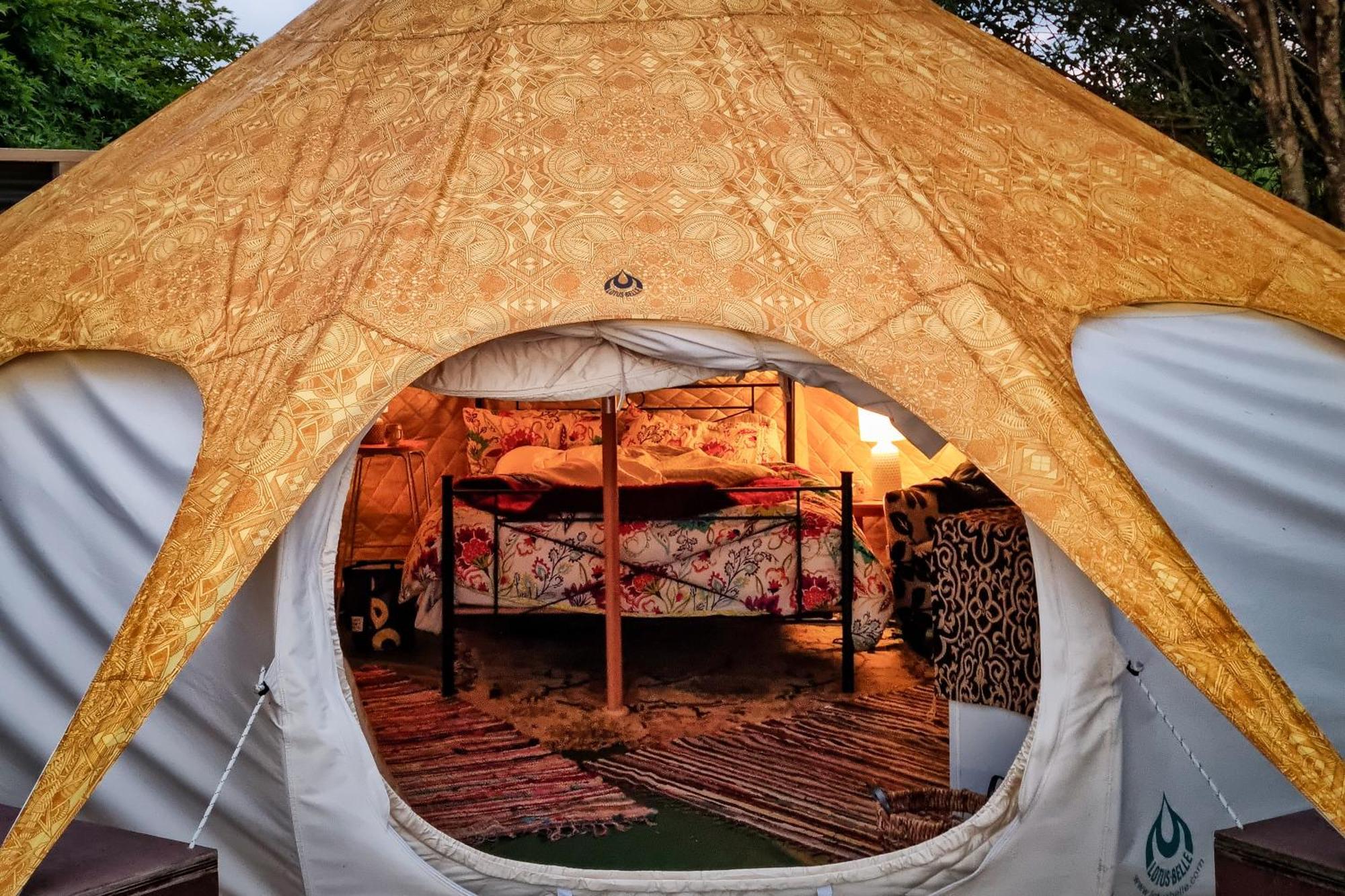 Te Tiro Accommodation Waitomo Caves Bilik gambar